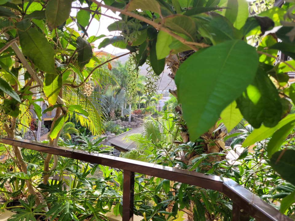 Gartenanlage Hotel Cordial Mogán Playa