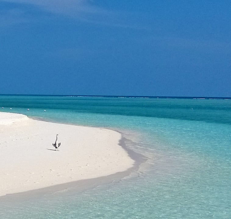 An der Nordspitze der Insel Meeru Maldives Resort Island