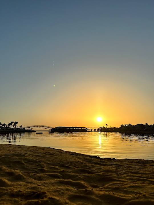 Ausblick Desert Rose