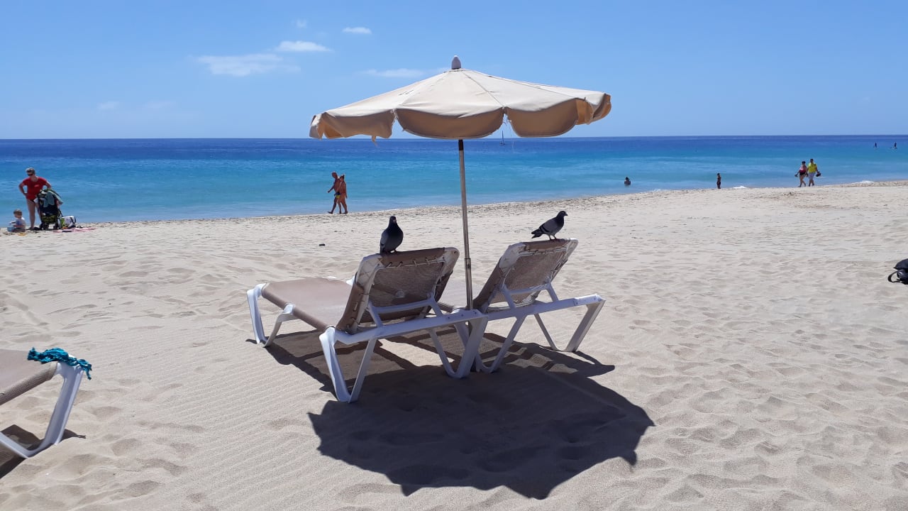 Strand Servatur Alameda de Jandía