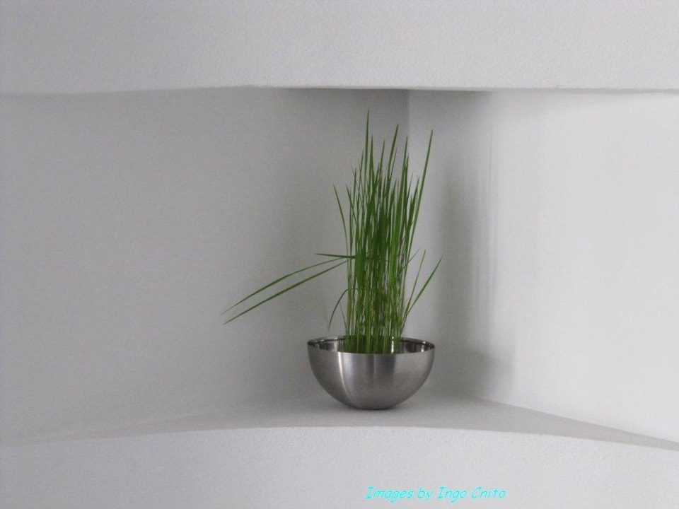 Pars pro toto - so harmonisch geht's hier zu Hotel Let's Sea Hua Hin Al Fresco Resort