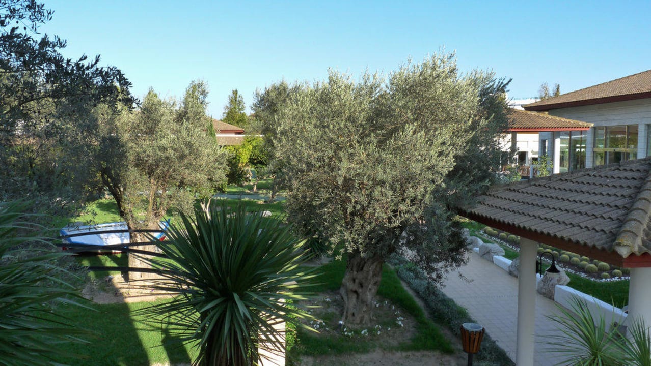 Zimmer - Ausblick Prinsotel La Dorada