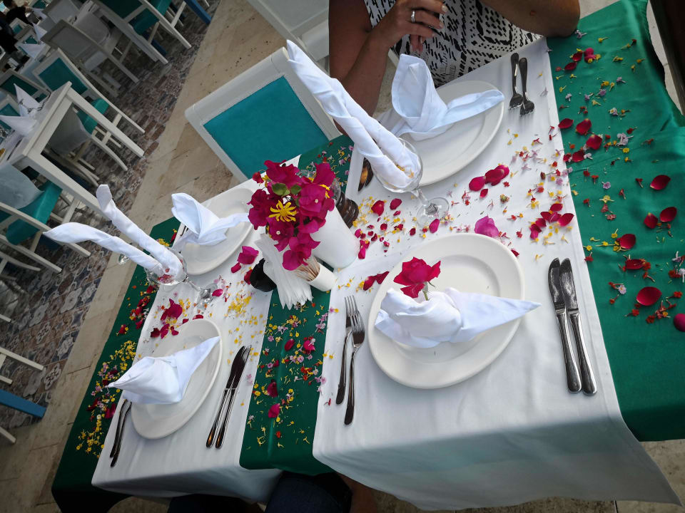 Gastro Selectum Family Comfort Side