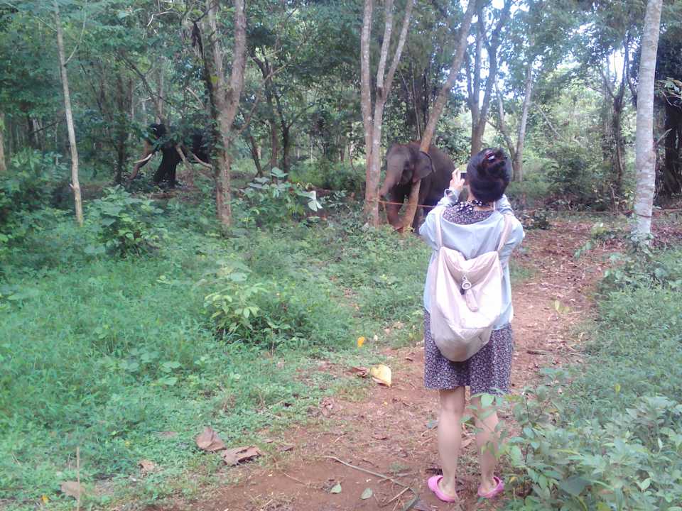 Sonstiges Elephant Pass Ayurveda & Yoga Retreat