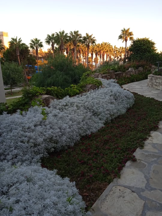 Gartenanlage Arum Barut Collection