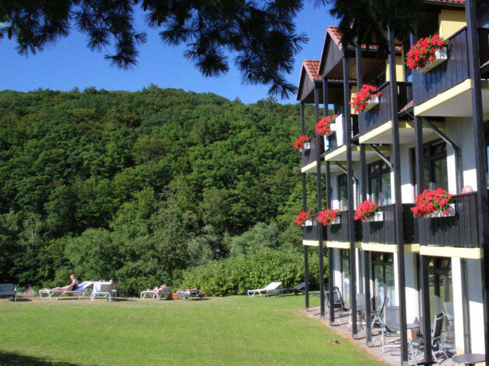 Göbel's Seehotel Diemelsee Göbel's Seehotel Diemelsee