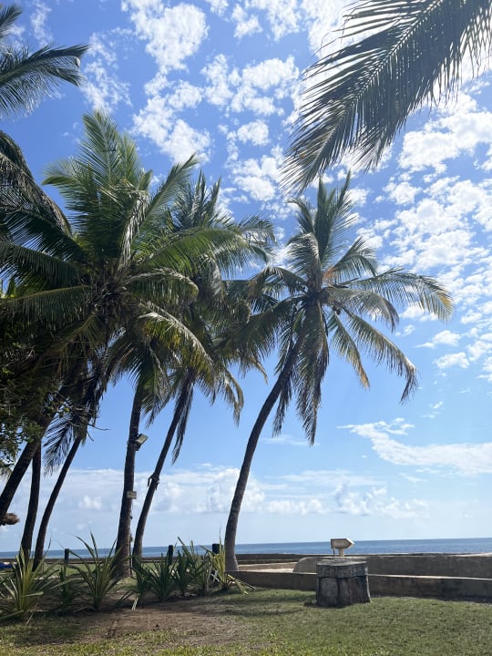 Strand Neptune Palm Beach Boutique Resort & Spa