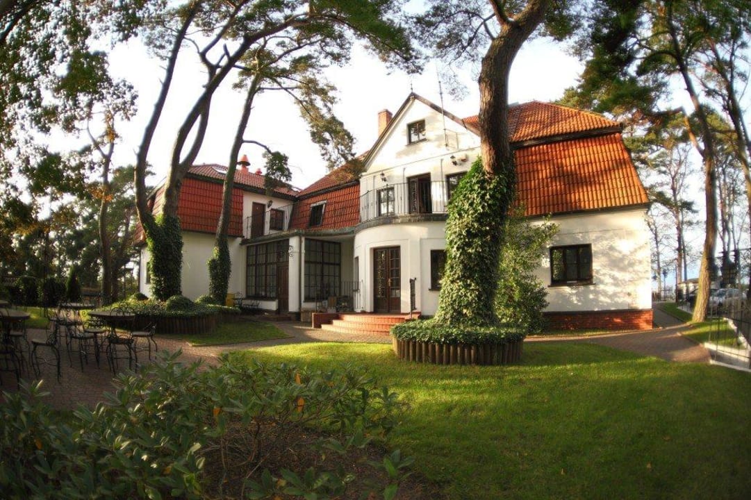 Ogród z tyłu Pensjonatu Victor Villa Victor