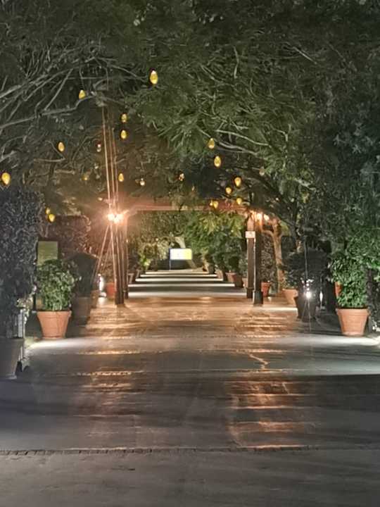 Gartenanlage TUI MAGIC LIFE Calabria