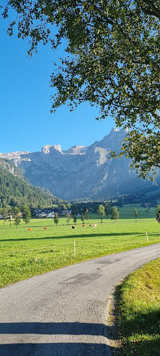 Sonstiges Gut Wenghof - Family Resort