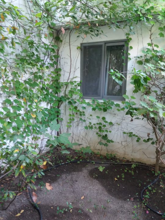 Zimmer Caravia Beach Hotel