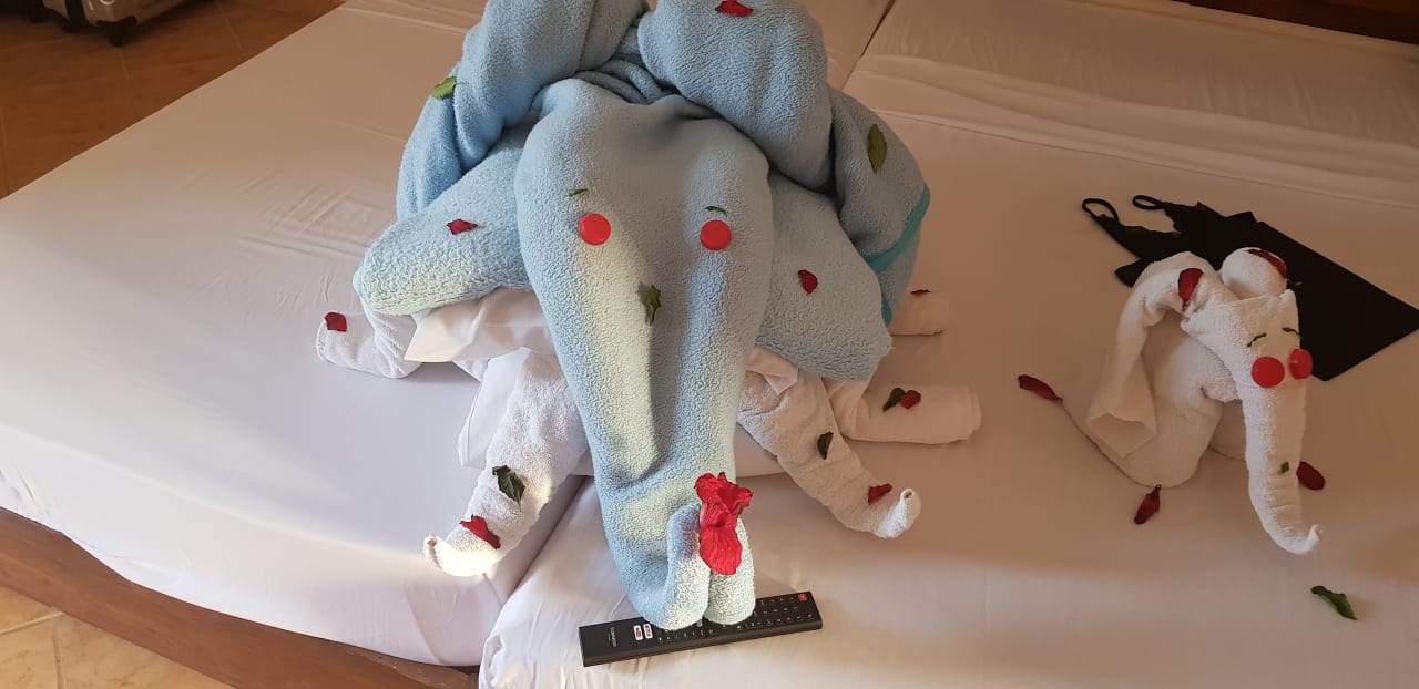 Zimmer Utopia Beach Club