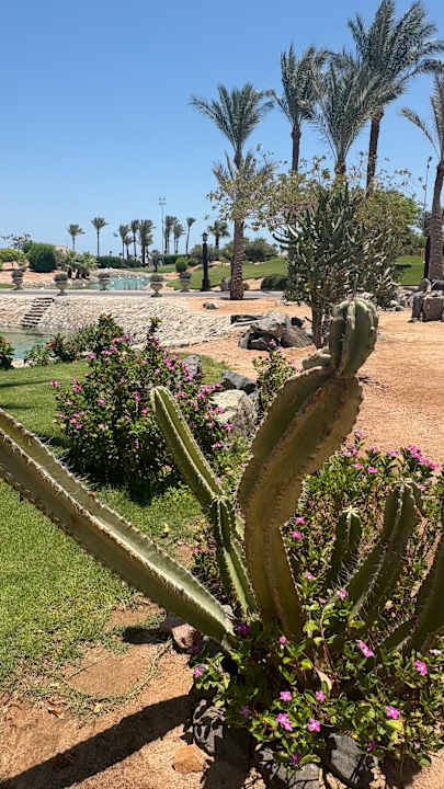 Außenansicht Steigenberger ALDAU Beach Hotel