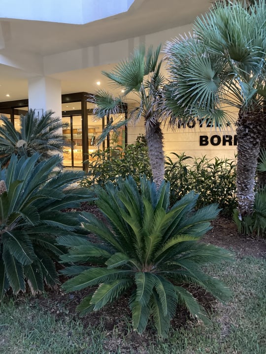 Sonstiges allsun Hotel Borneo - Adults only