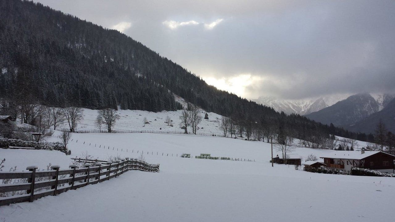 Ausblick Landhaus am Waldrand