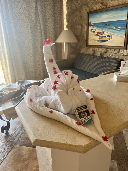 Zimmer Pickalbatros Citadel Resort