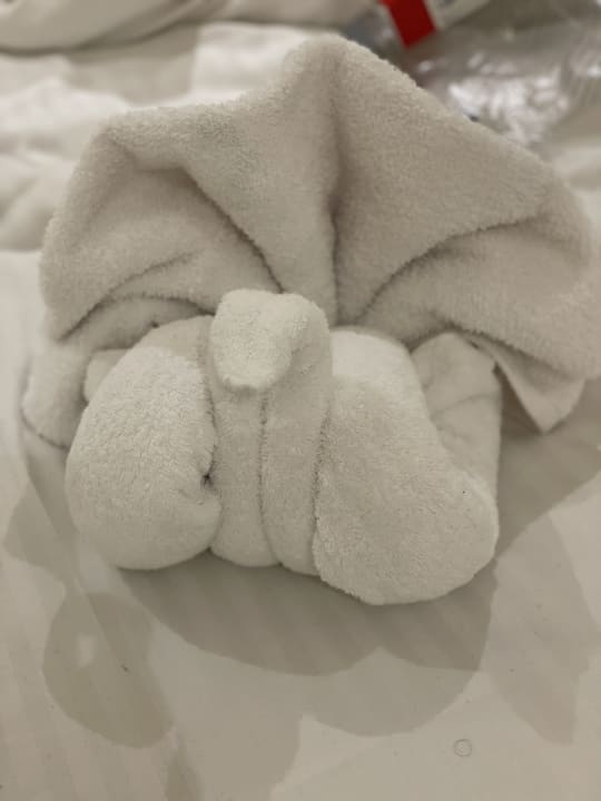 Zimmer Three Corners Sea Beach Resort