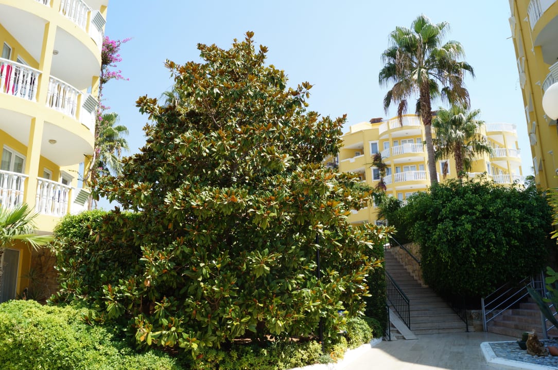 Hotel Club Paradiso Hotel Club Paradiso