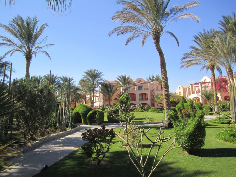 Очень исскустно Jaz Makadi Saraya Resort