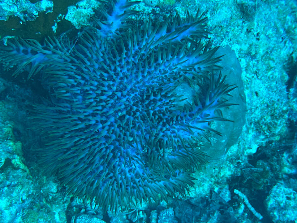 Sport & Freizeit Ocean Paradise Resort & Spa