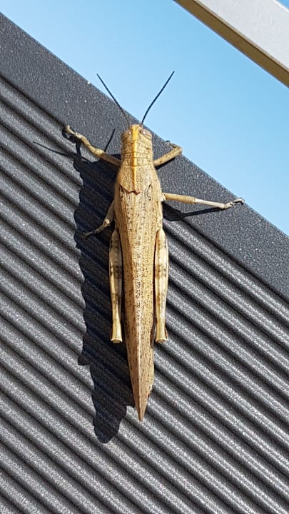 Sonstiges Anemos Luxury Grand Resort