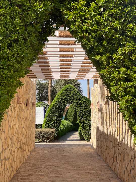 Gartenanlage Sharm Club Beach Resort