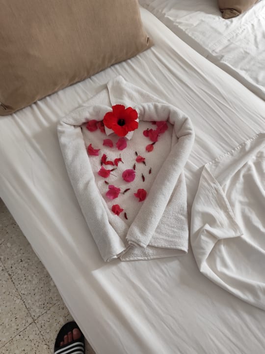 Zimmer Zenon Hotel Djerba