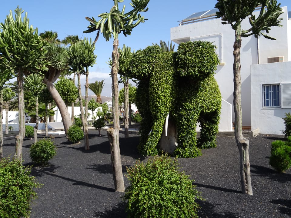 Gartenanlage Hotel Floresta