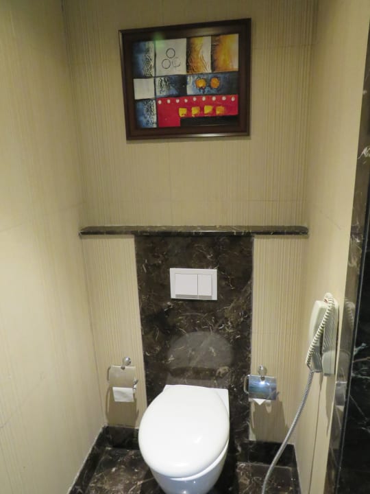 Zimmer Ramada Plaza Agra