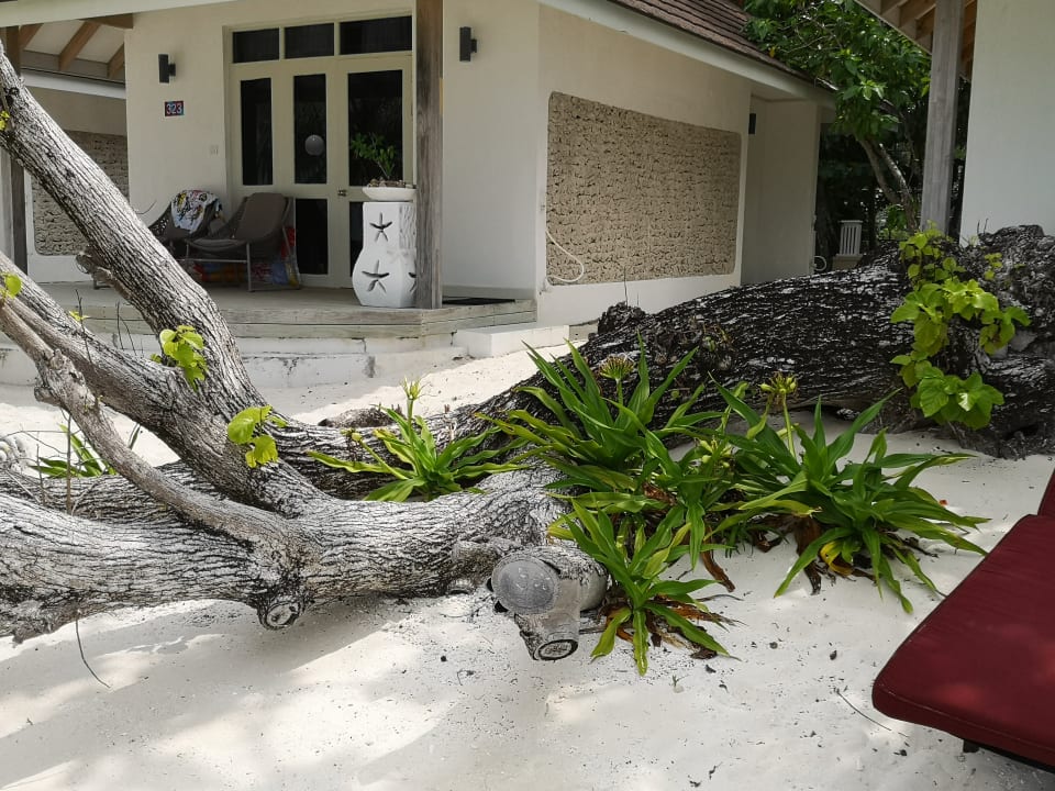 Außenansicht Ellaidhoo Maldives by Cinnamon