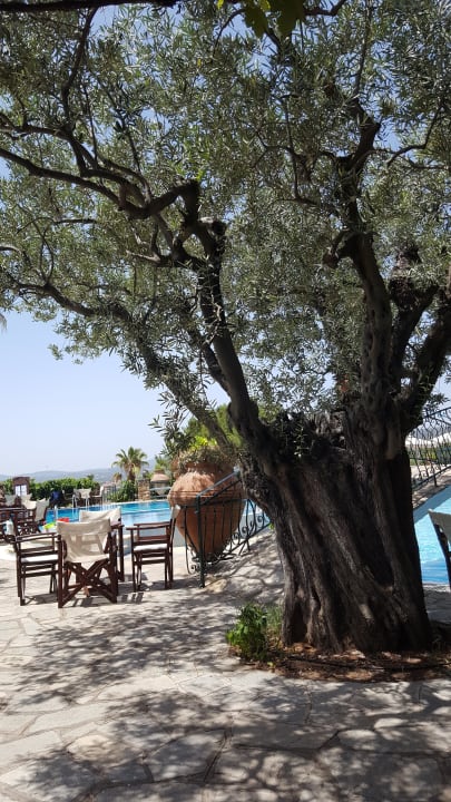 Sport & Freizeit Hotel Geranion Village