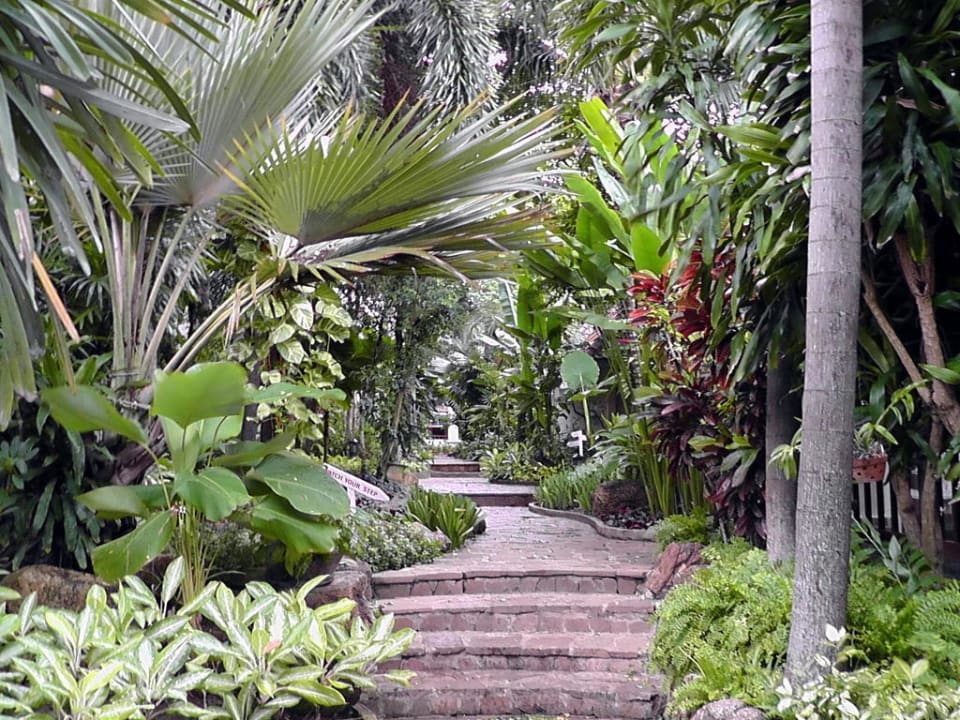 Grüner Weg Samui Natien Resort