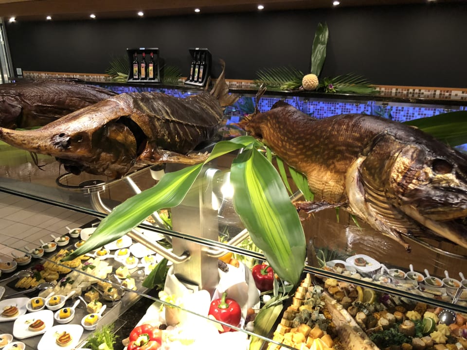 Gastro Seehotel Fleesensee