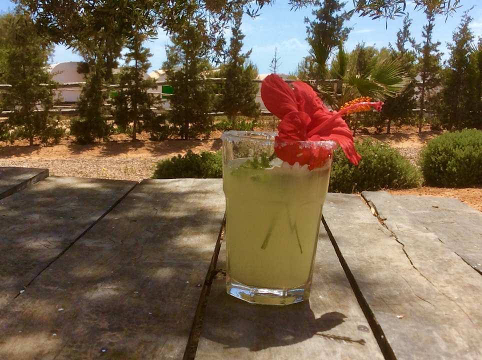 Gastro Maison dˋHôte Domaine El-Manar