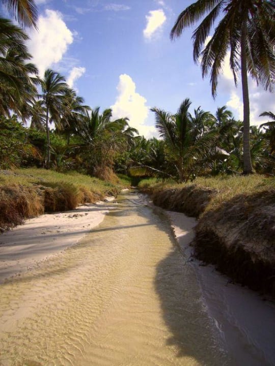 Wo geht es da wohl hin? Catalonia Punta Cana - All Inclusive