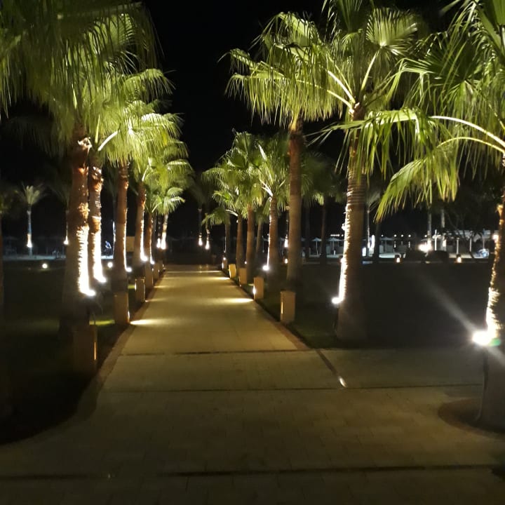 Gartenanlage Casa Mare Resort