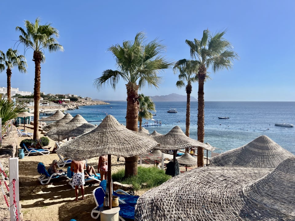 Strand Concorde El Salam Hotel Sharm el Sheikh by Royal Tulip