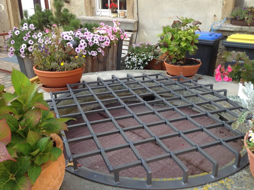 Überall Blumen Naturhotel Etzdorfer Hof