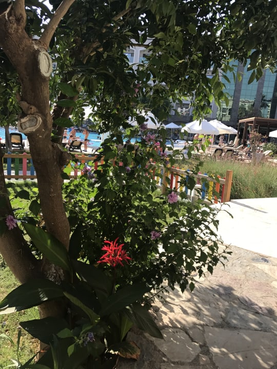 Gartenanlage Horus Paradise Luxury Resort & Club