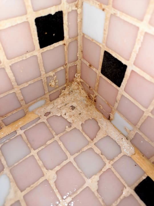 Zimmer Makadi Spa - Adults only