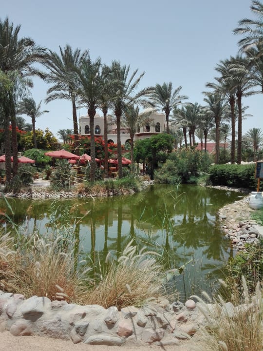 Gartenanlage Makadi Palace