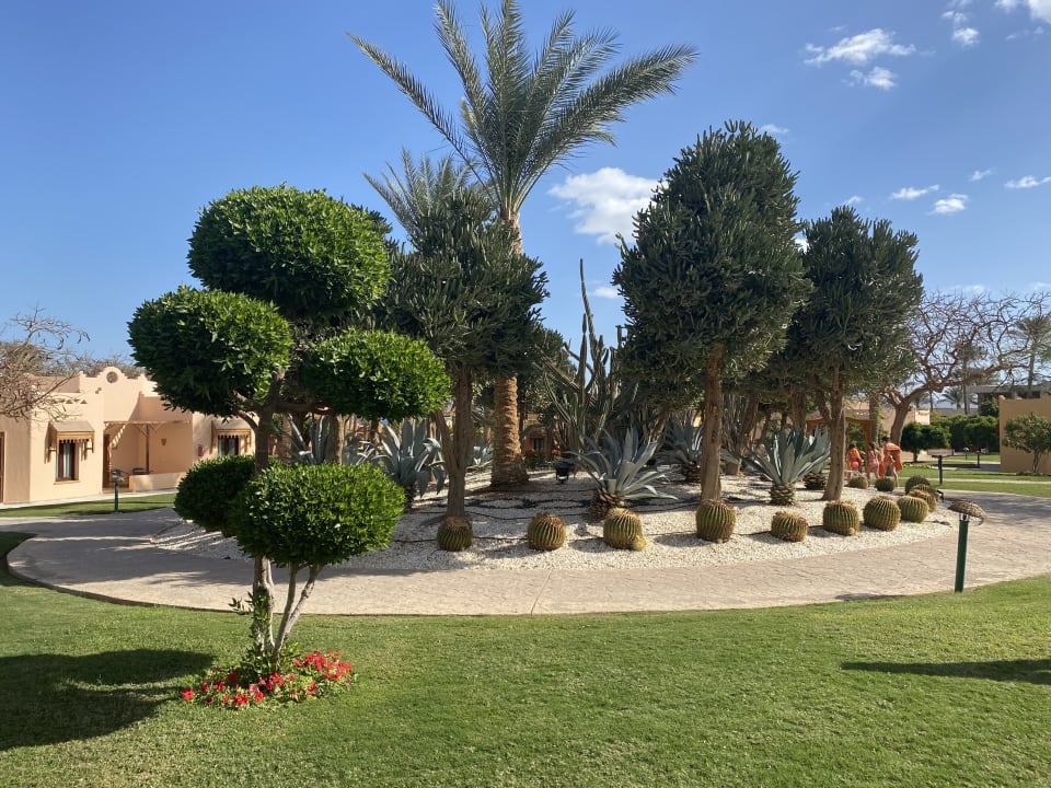 Gartenanlage Hotel Nubian Village