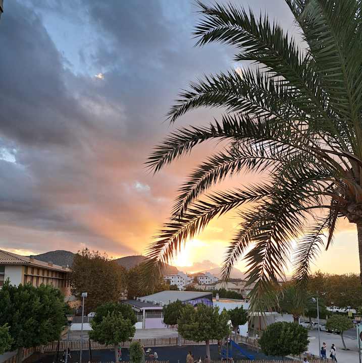 Sonstiges Alcudia Garden Aparthotel