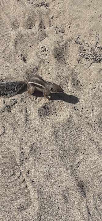 Strand Club Hotel Drago Park