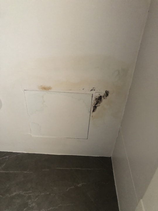 Zimmer Hostel Alcina