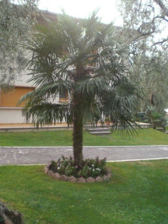 Im Garten Hotel San Carlo