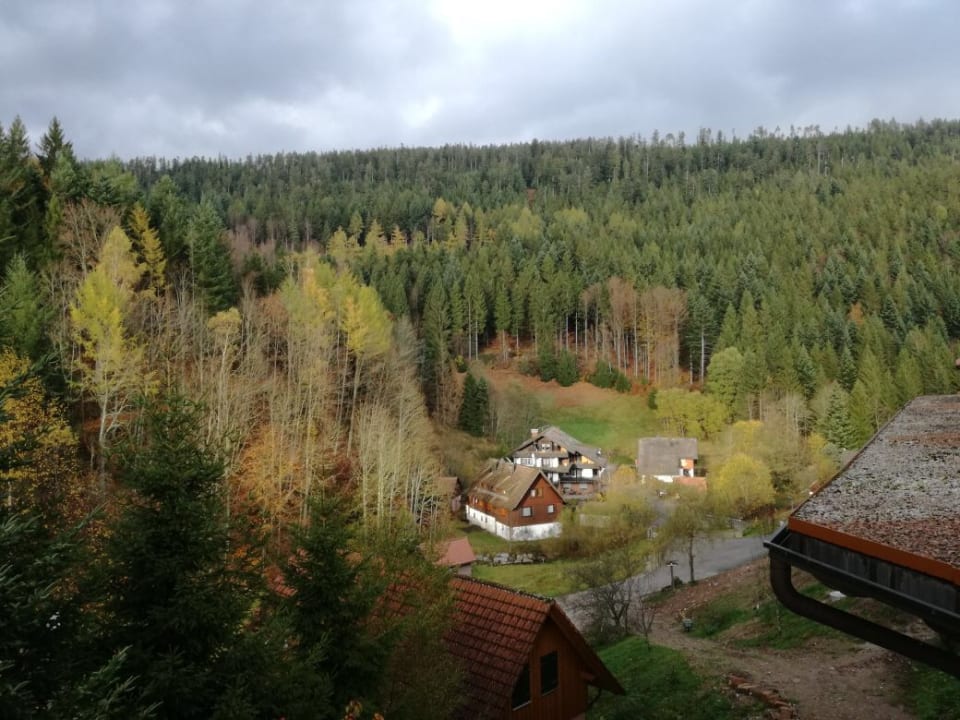 Ausblick Wellnesshotel Forsthaus Auerhahn