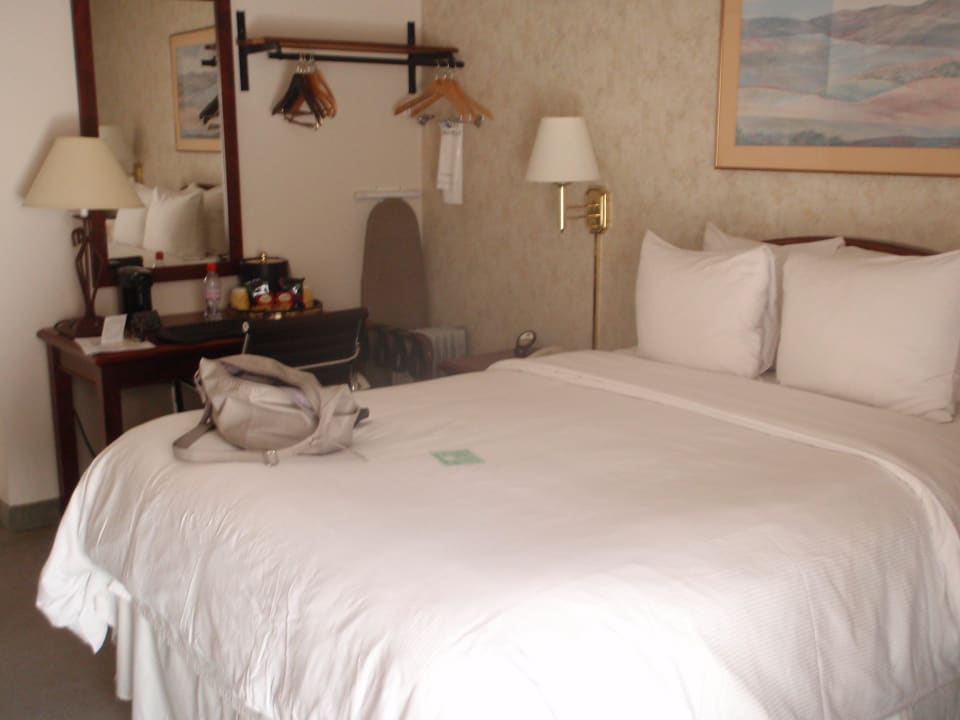 DZ Hollywood Hotel - The Hotel of Hollywood