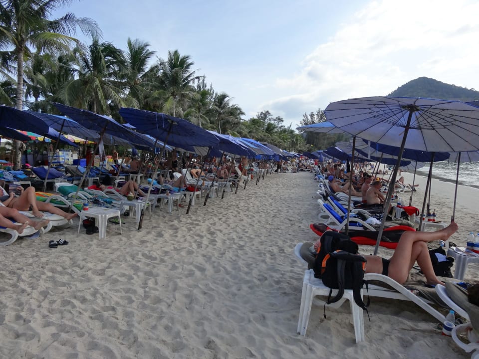 Liegen in drei Reihen über gesamte Strandlänge Sunprime Kamala Beach