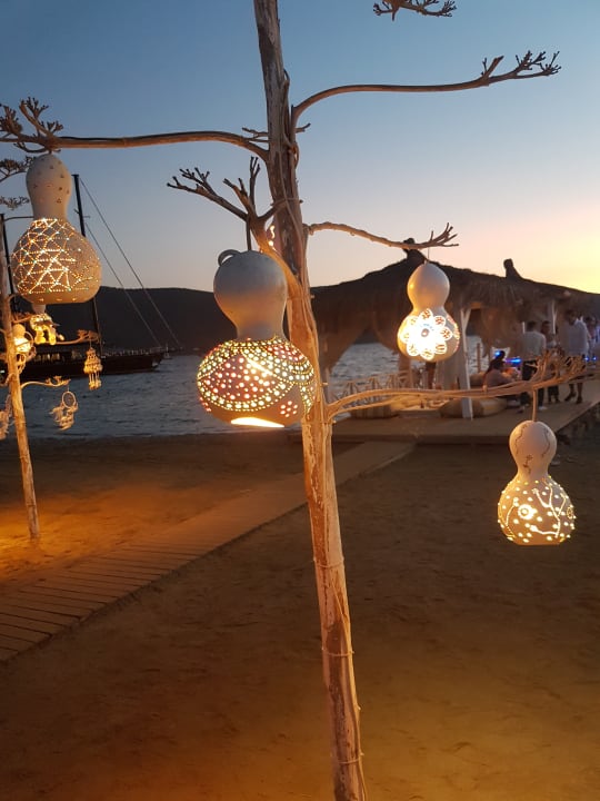 Strand TUI MAGIC LIFE Bodrum - Adult Only (16+)